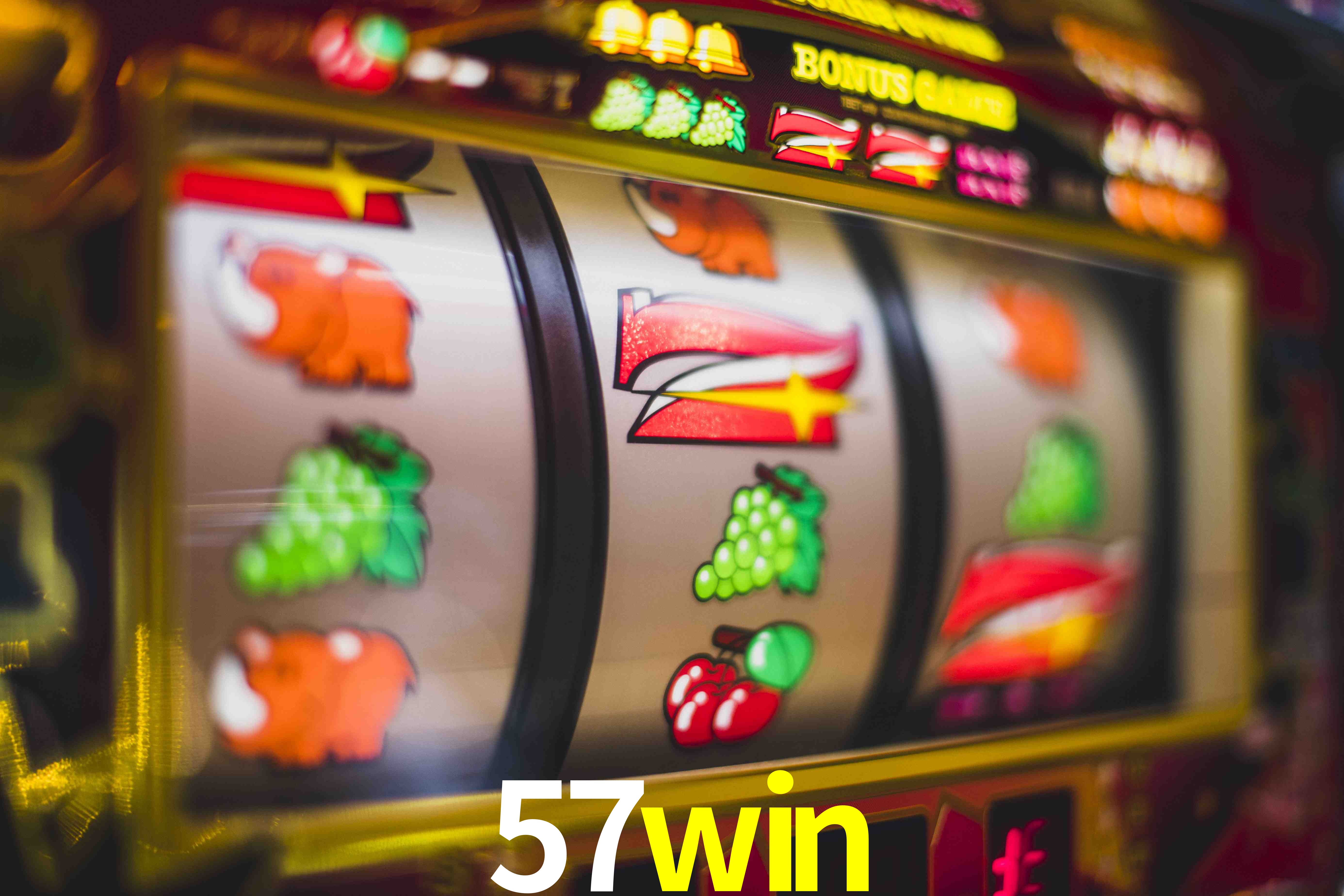 Sports Statistics 57win